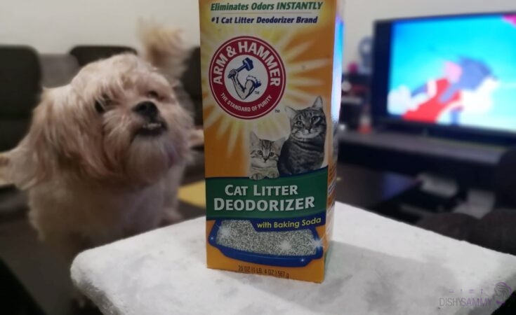 Arm & hammer cat litter deodorizer with baking clearance soda